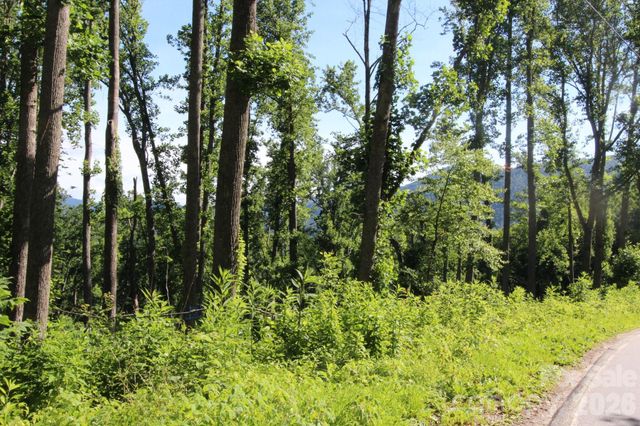 00 Ox Creek Crest Lane, Weaverville, NC 28787