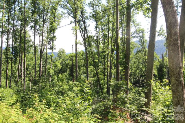 00 Ox Creek Crest Lane, Weaverville, NC 28787