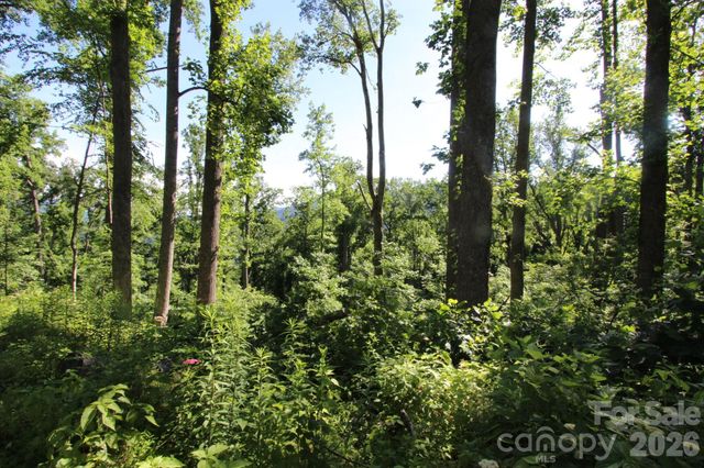 00 Ox Creek Crest Lane, Weaverville, NC 28787