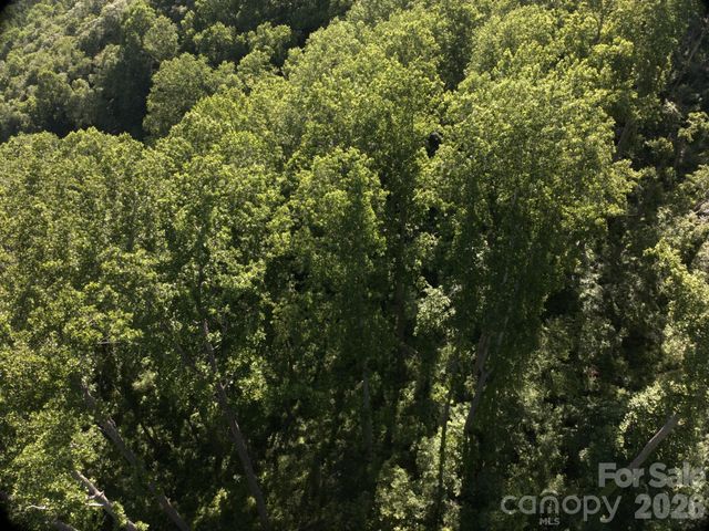 00 Ox Creek Crest Lane, Weaverville, NC 28787