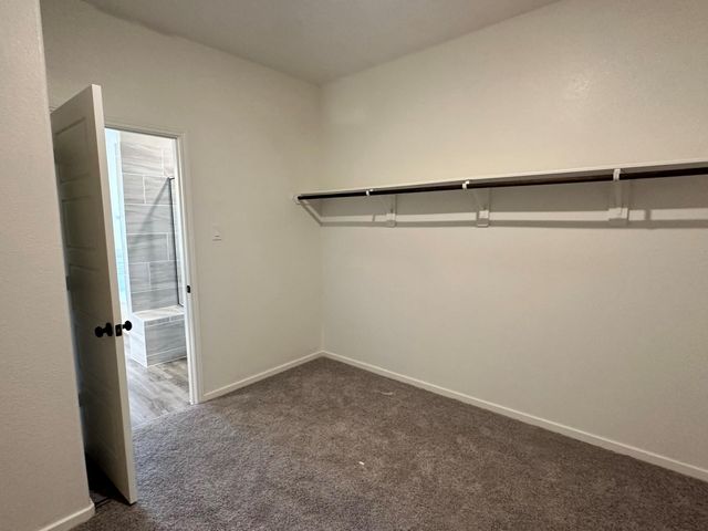 13627 Lago Vista Drive, Iowa Colony, TX 77583