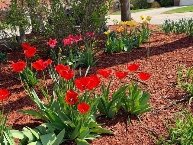 6407 Friendship Circle 15, Indianapolis, IN 46268