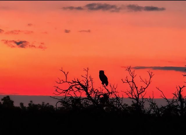 14431 Mira Vista Ln, Lockeford, CA 95237