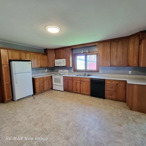 11700 Busch Road, Birch Run, MI 48415