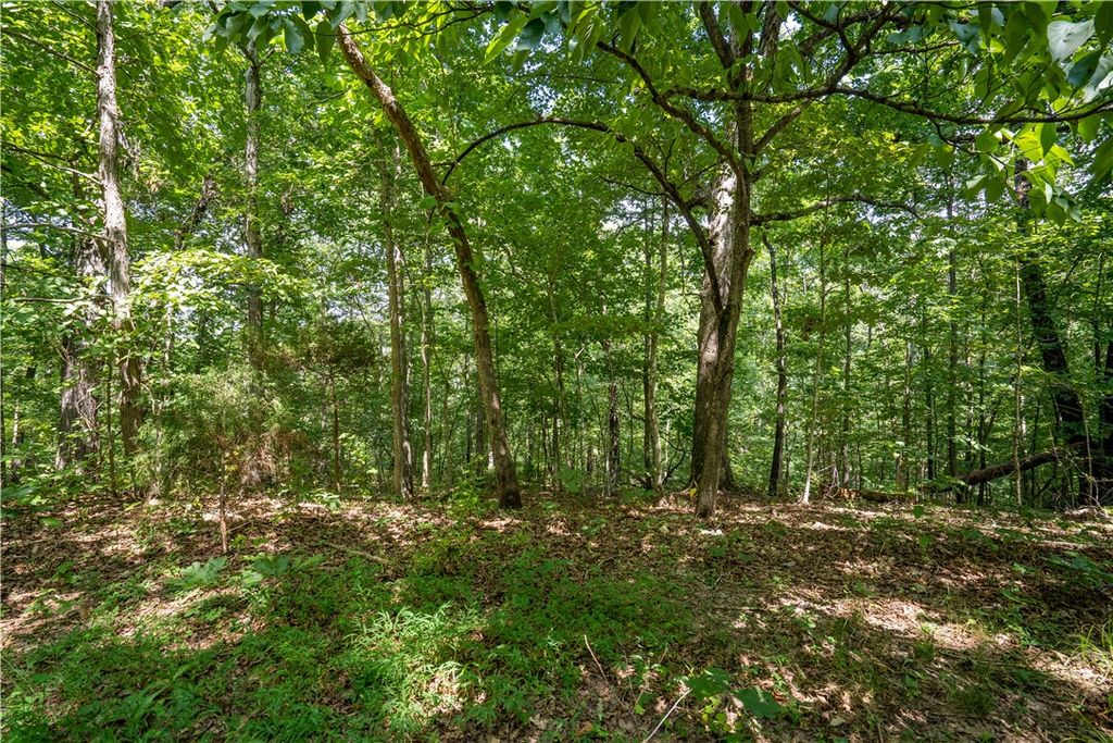 Armitage Drive, Bella Vista, AR 72715