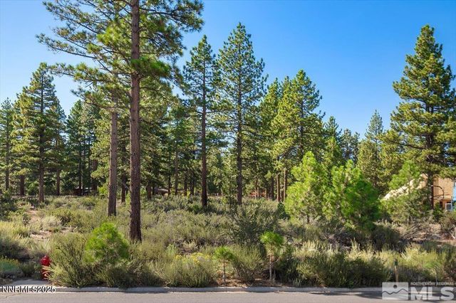 20585 Margaux Road, Reno, NV 89511