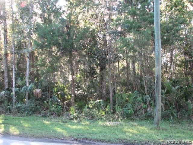 0 S Suncoast Boulevard, Crystal River, FL 34429