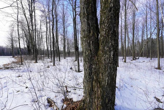 W6724 E & M LANE, Medford, WI 54451