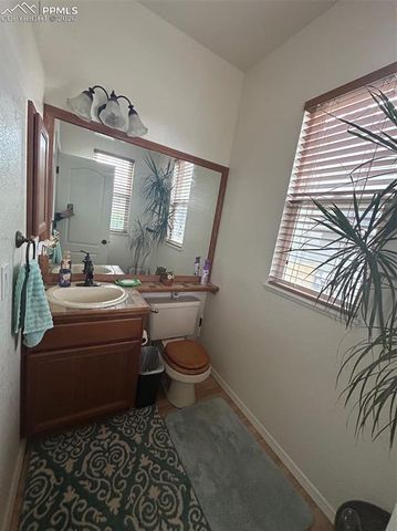 7368 Prythania Park Drive, Colorado Springs, CO 80923