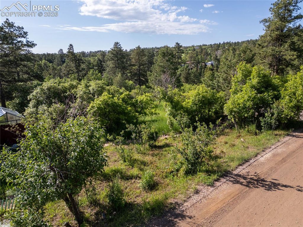 Buena Vista Avenue, Palmer Lake, CO 80133 — exterior