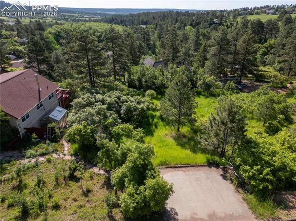 Buena Vista Avenue, Palmer Lake, CO 80133 — photo 5