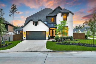 117 Everest Drive, Montgomery, TX 77316