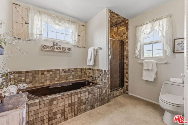 28132 Oak Spring Canyon Road, Canyon Country, CA 91387