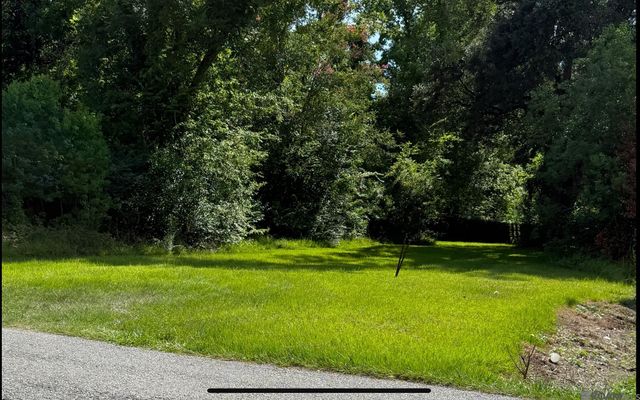 319 N Marchand Ave, Gonzales, LA 70737