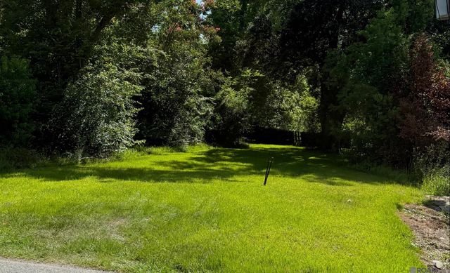 319 N Marchand Ave, Gonzales, LA 70737