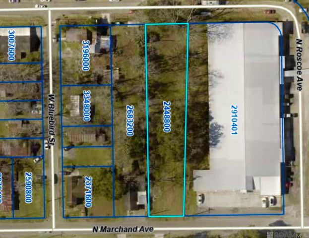 319 N Marchand Ave, Gonzales, LA 70737