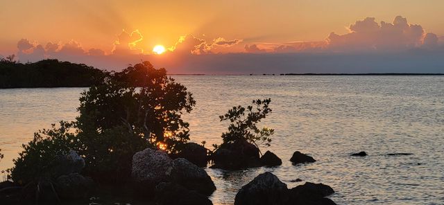 323 Bayview Avenue, Key Largo, FL 33037