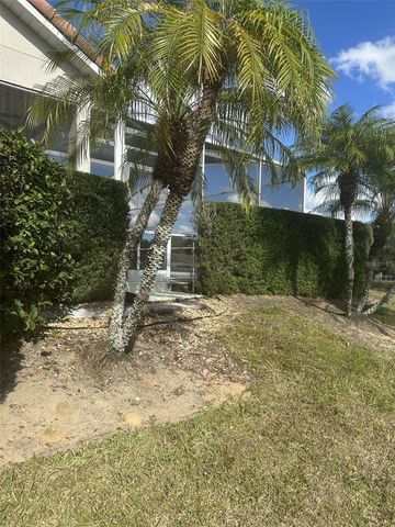 609 BRUNELLO DRIVE, Davenport, FL 33897