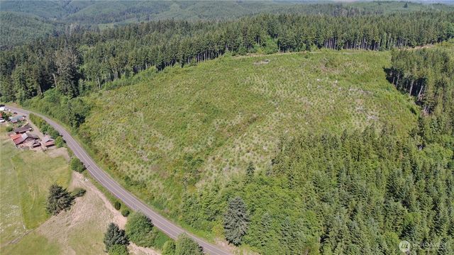 0 Butte Creek Road, Raymond, WA 98577