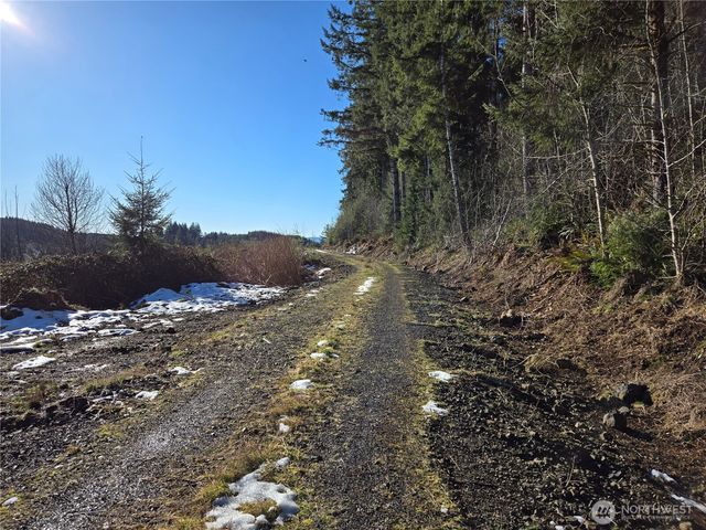 0 Butte Creek Road, Raymond, WA 98577