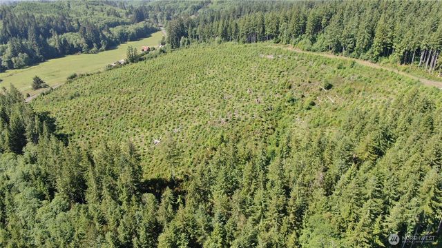 0 Butte Creek Road, Raymond, WA 98577