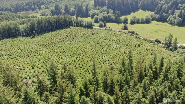 0 Butte Creek Road, Raymond, WA 98577