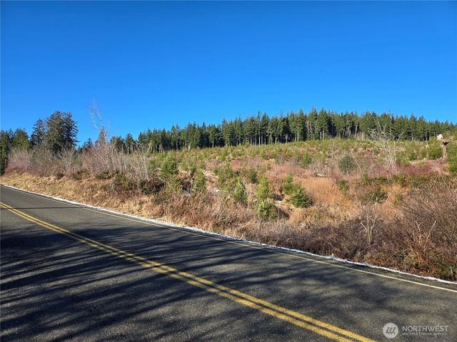 0 Butte Creek Road, Raymond, WA 98577