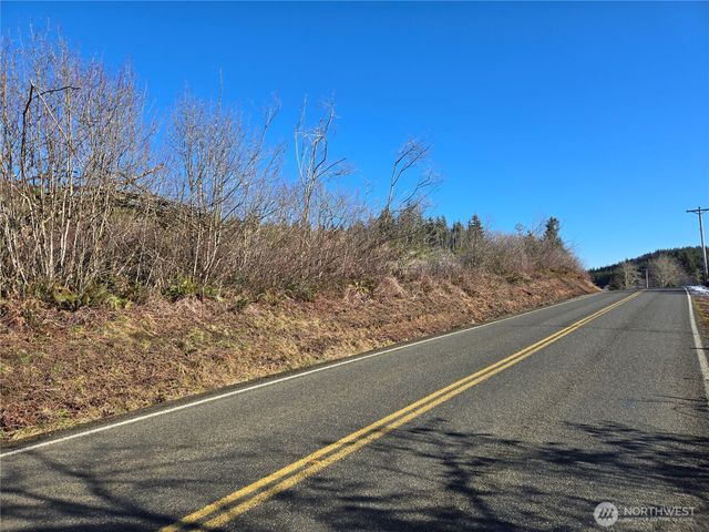 0 Butte Creek Road, Raymond, WA 98577