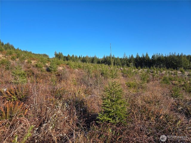 0 Butte Creek Road, Raymond, WA 98577