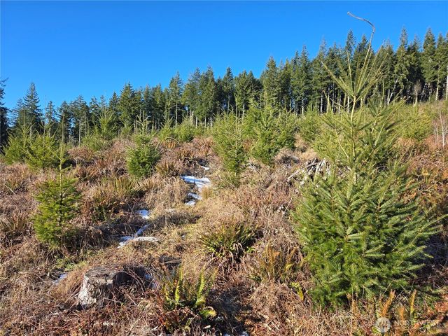 0 Butte Creek Road, Raymond, WA 98577