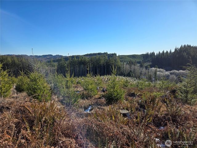 0 Butte Creek Road, Raymond, WA 98577