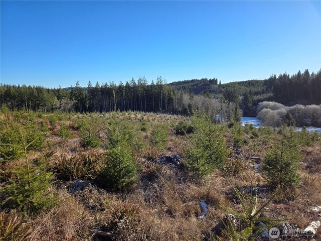 0 Butte Creek Road, Raymond, WA 98577