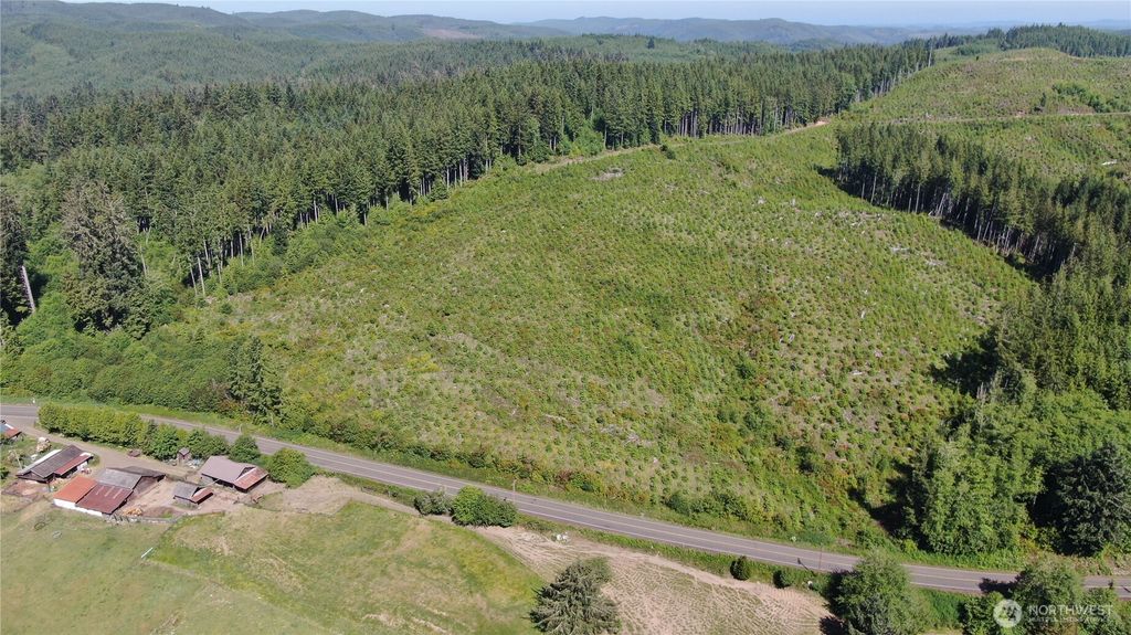 0 Butte Creek Road, Raymond, WA 98577