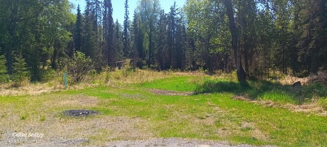 49425 Tote Road, Soldotna, AK 99669