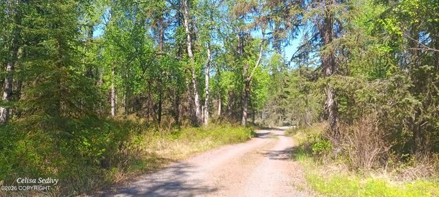 49425 Tote Road, Soldotna, AK 99669