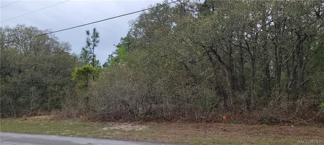 7662 N Maltese Drive, Citrus Springs, FL 34433