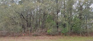 7662 N Maltese Drive, Citrus Springs, FL 34433