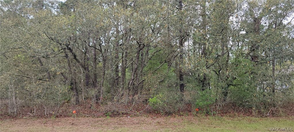 7662 N Maltese Drive, Citrus Springs, FL 34433