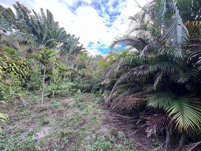 111 NE 47th Street, Oakland Park, FL 33334