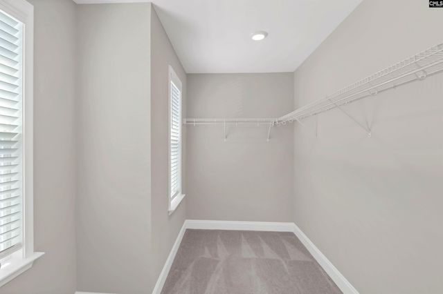 248 Wessinger Farms Road, Chapin, SC 29036