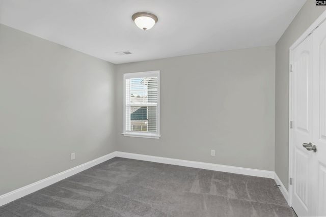 248 Wessinger Farms Road, Chapin, SC 29036