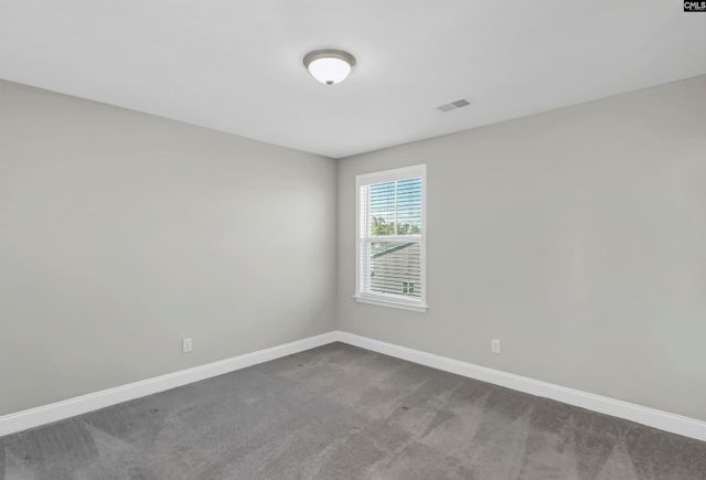 248 Wessinger Farms Road, Chapin, SC 29036