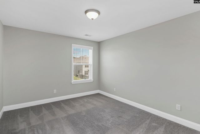 248 Wessinger Farms Road, Chapin, SC 29036