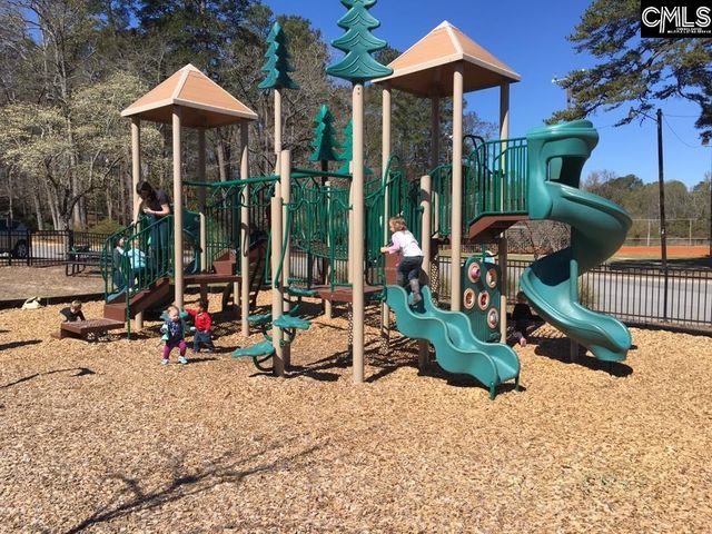 248 Wessinger Farms Road, Chapin, SC 29036