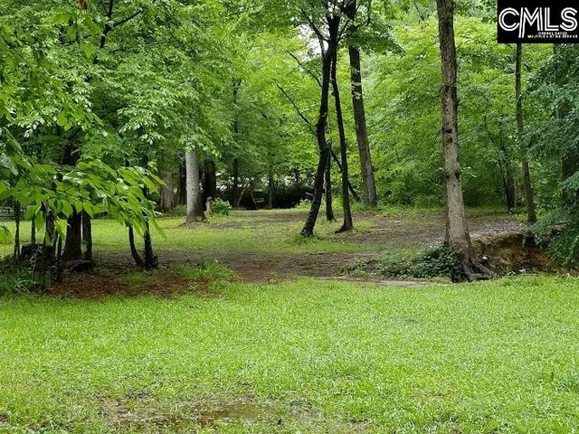 248 Wessinger Farms Road, Chapin, SC 29036