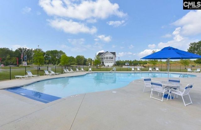 248 Wessinger Farms Road, Chapin, SC 29036