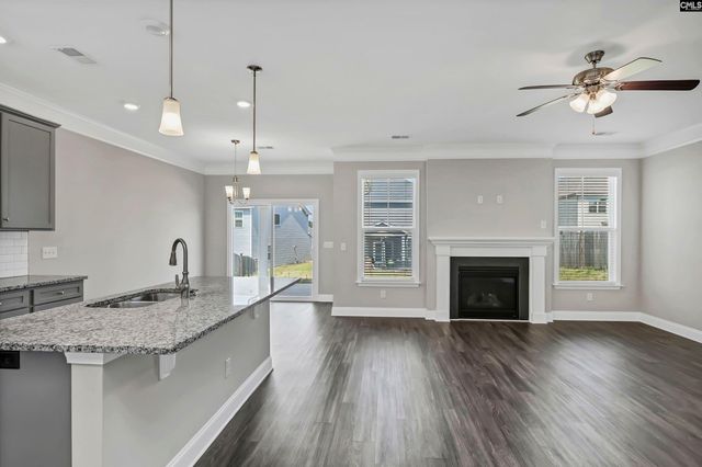 248 Wessinger Farms Road, Chapin, SC 29036