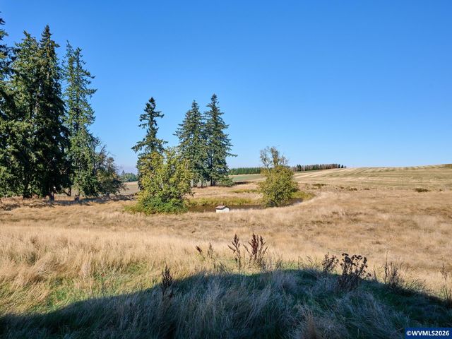 1060 Silver Falls Dr NE, Silverton, OR 97381