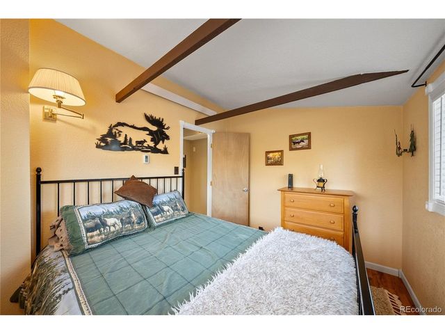 106 Elk Dr, Bailey, CO 80421