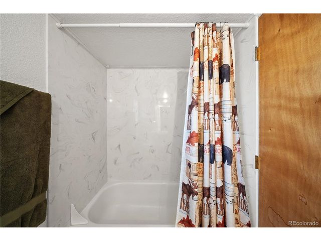 106 Elk Dr, Bailey, CO 80421